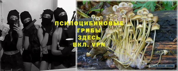 кокс Абдулино