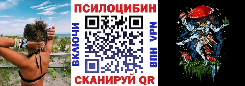 Псилоцибиновые грибы Psilocybe Киров