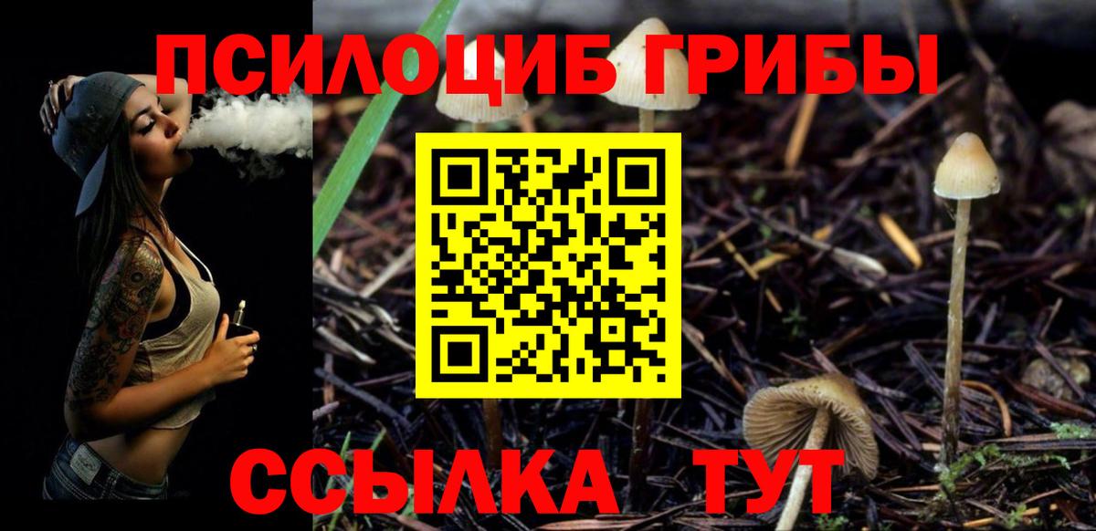 Киров  Псилоцибиновые грибы мухоморы  Вход с VPN 
