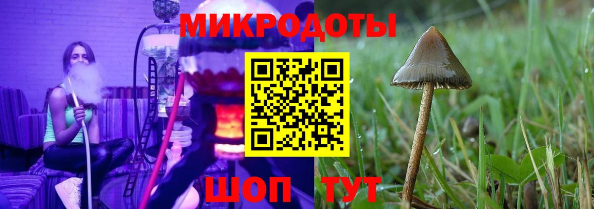 Псилоцибиновые грибы GOLDEN TEACHER Киров